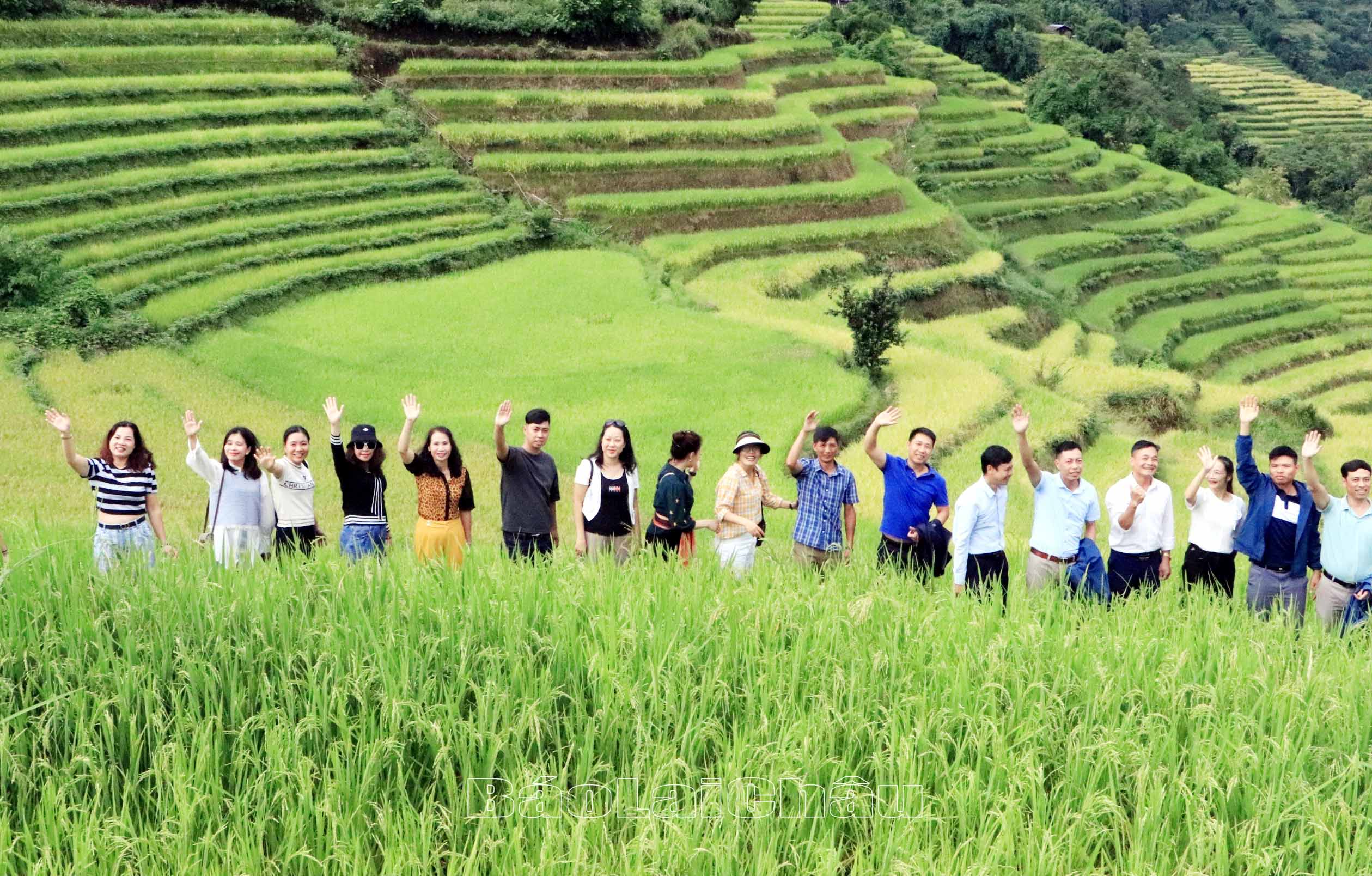 Những chiếc ruộng bậc thang liền kề đang mùa lúa chín gây được ấn tượng mạnh với thành viên đoàn khảo sát.